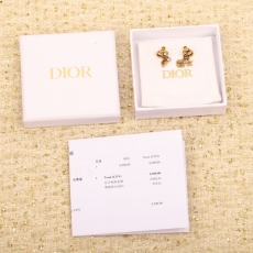 Christian Dior Earrings